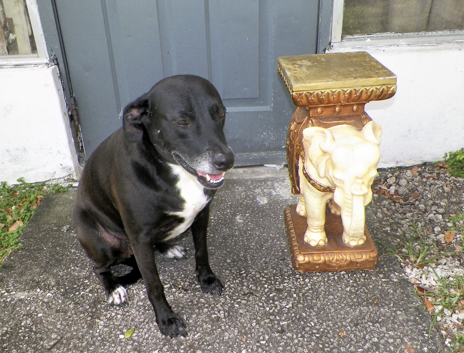 ART STATUE ELEPHANT GARDEN STOOL PLANT STAND 1A_aA.JPG