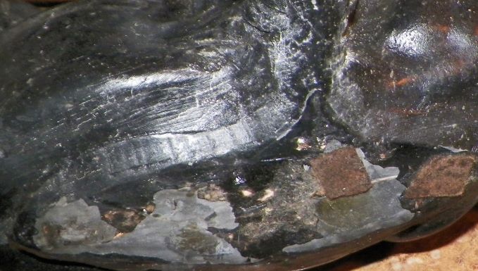 ART STATUE LEOPARDS FIGHTING 9AAA.JPG