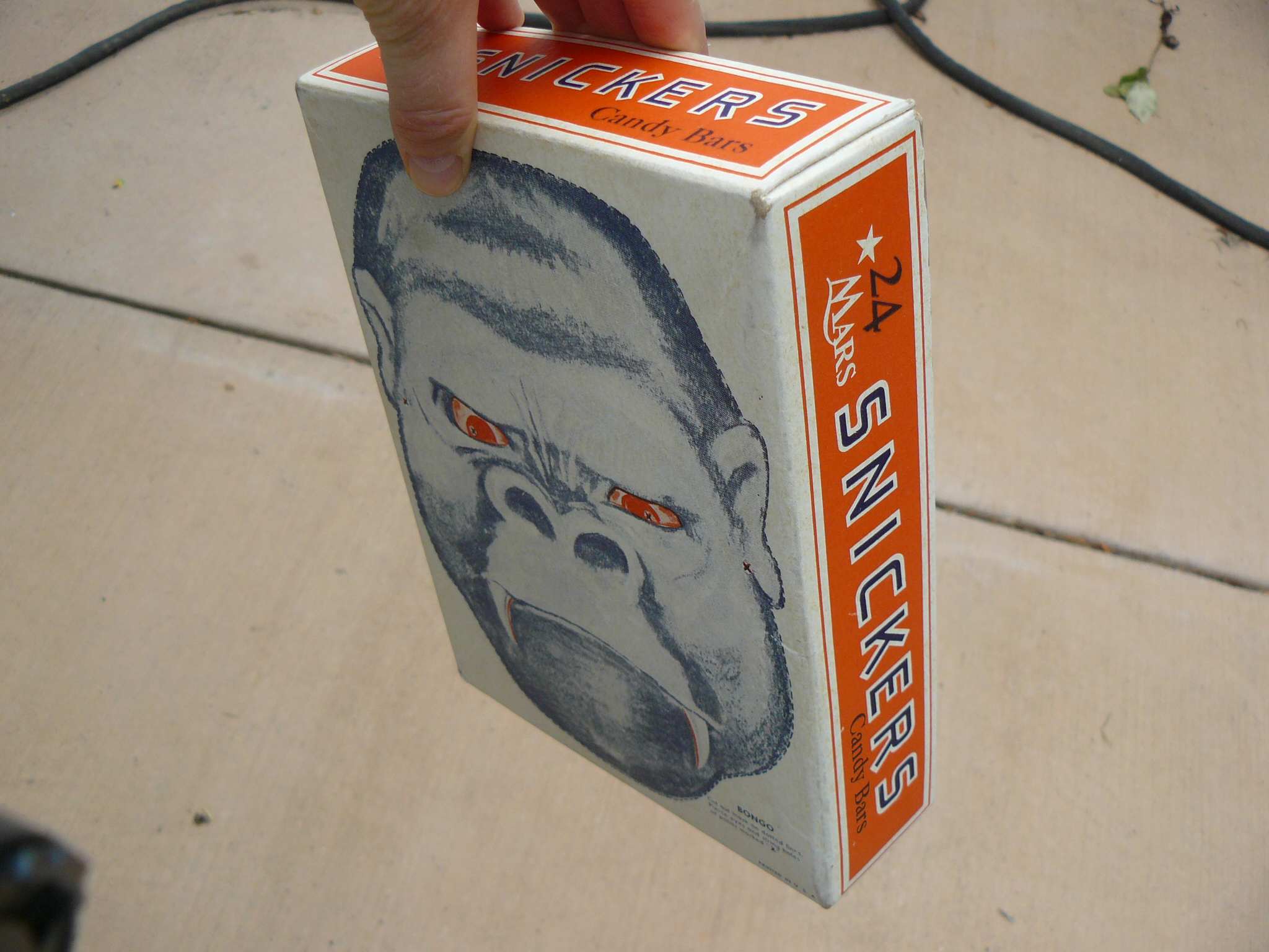 asnick33.jpg