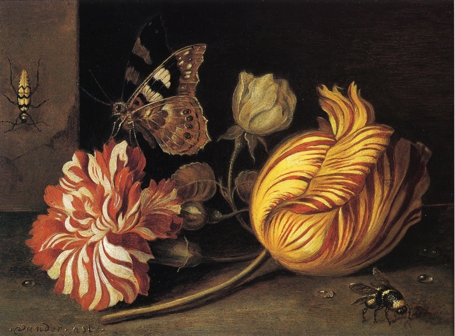 AST-STUDY-OF-FLOWERS-AND-INSECTS.jpg