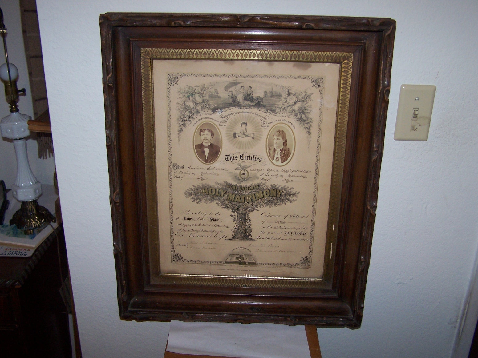 atree 19920.jpg