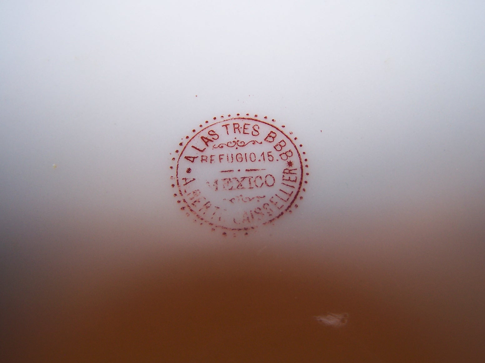 atree 21237.jpg