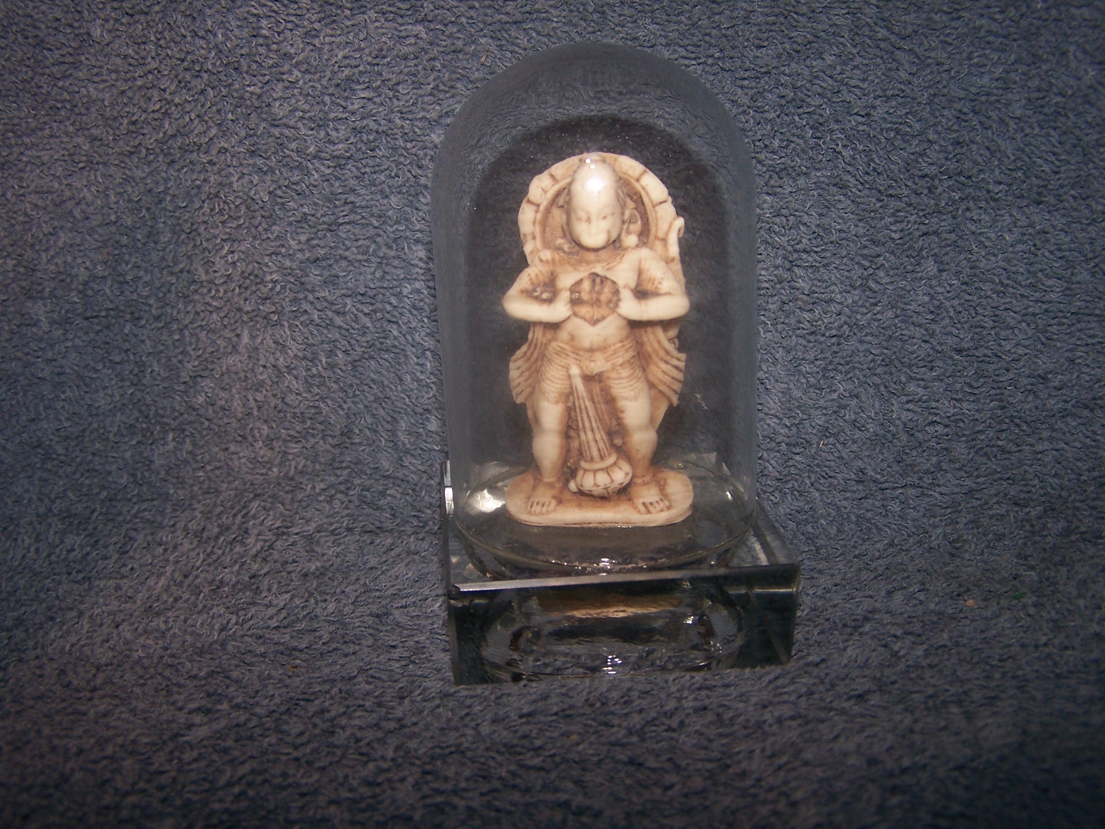atree 26797.jpg