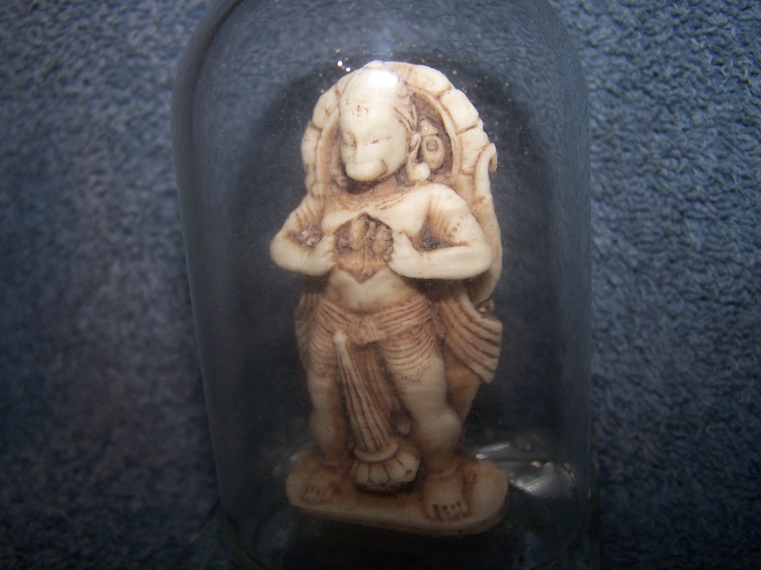 atree 26798.jpg