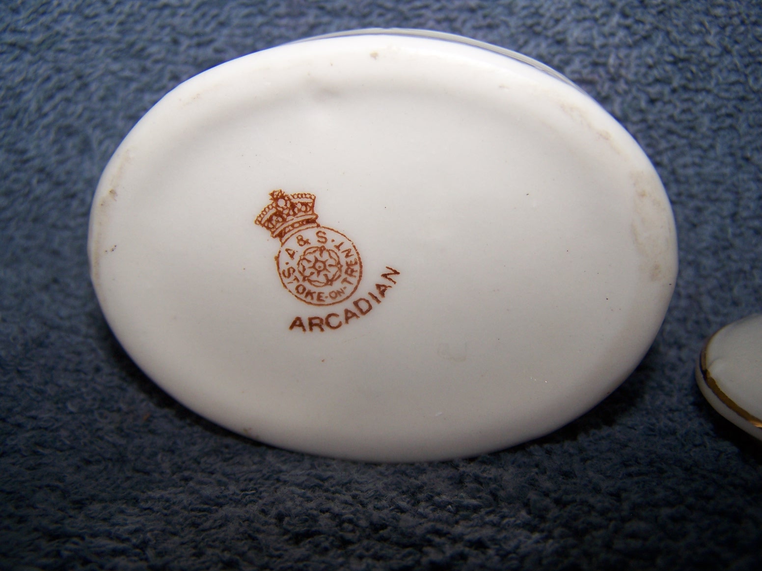 atree 27034.jpg