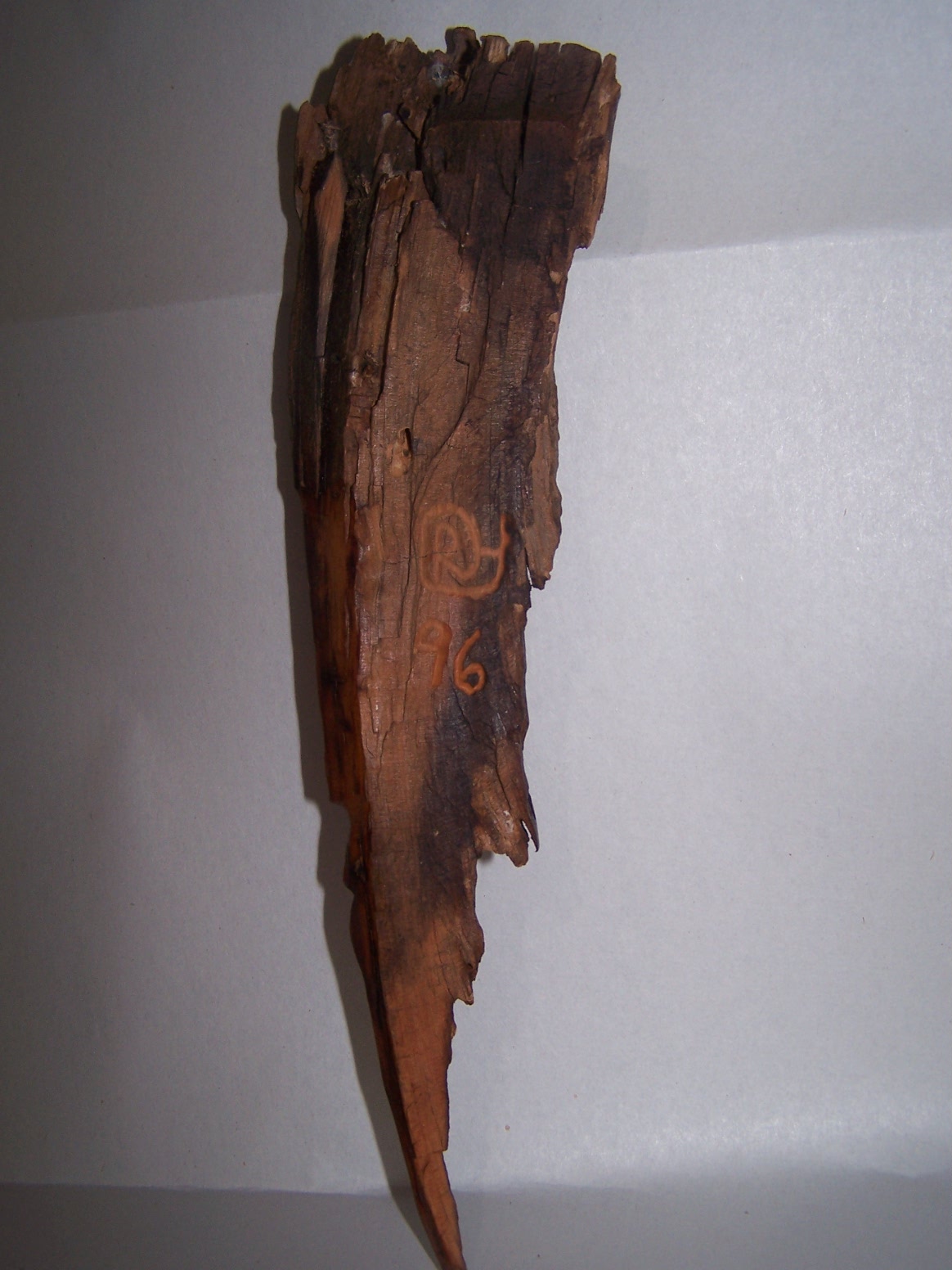 atree 27812.jpg