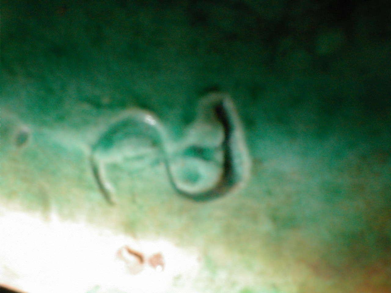 august 2 2020 043.JPG
