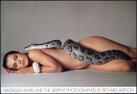 Avedon_png_large.png