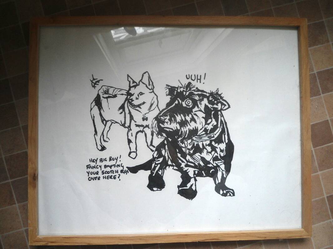 Aviary Photo_131757113364471151_resize_20180711_154415.jpg