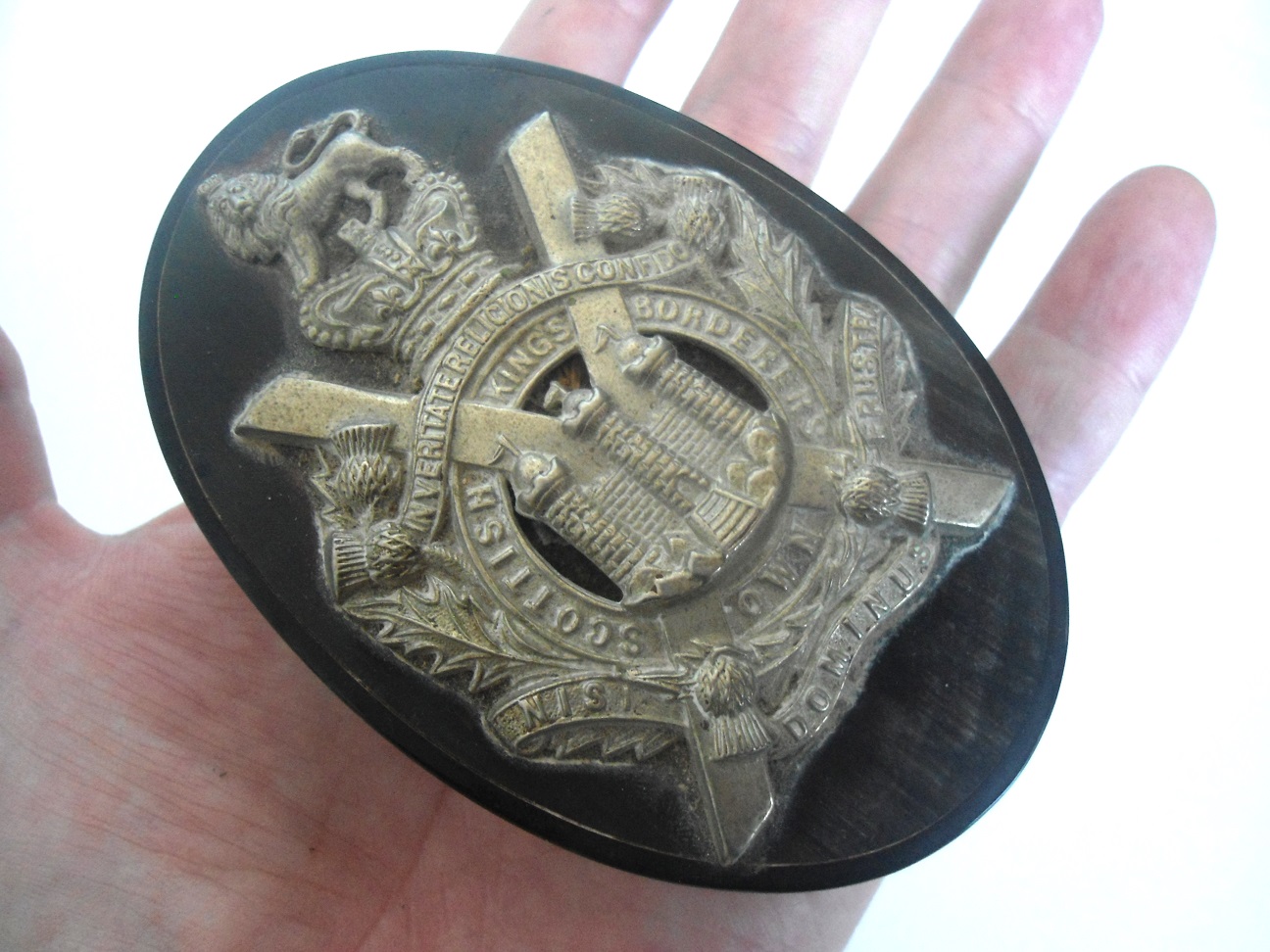 Aviary Photo_131757115079096003.jpg