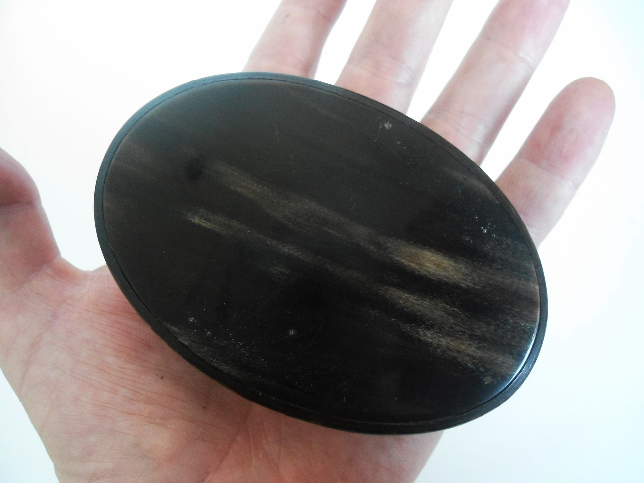 Aviary Photo_131757116761105344.jpg