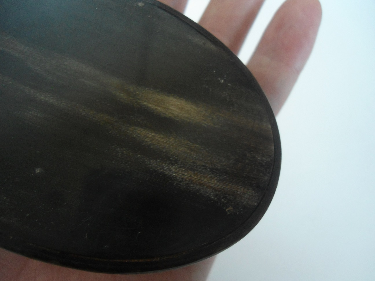 Aviary Photo_131757117130163207.jpg