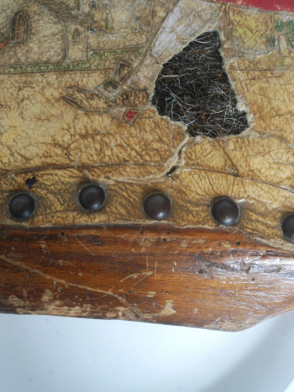 Aviary Photo_131777847118755190.jpg