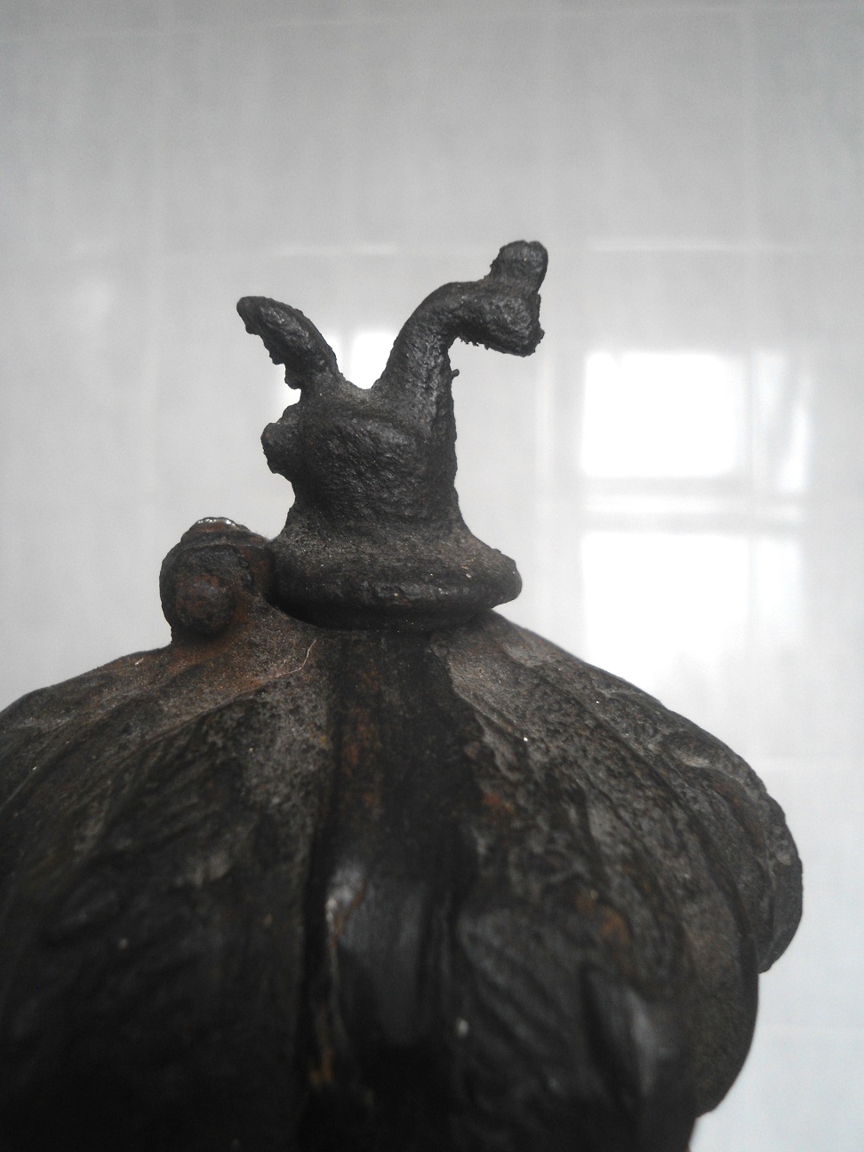 Aviary Photo_131809803652932112.jpg