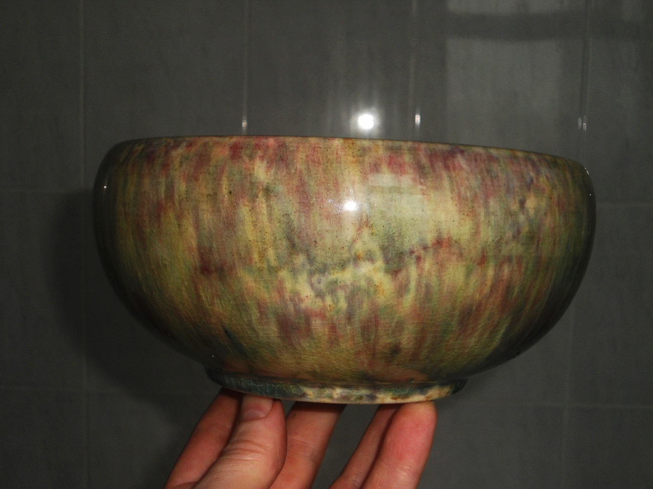 Aviary Photo_131819383018457274.jpg