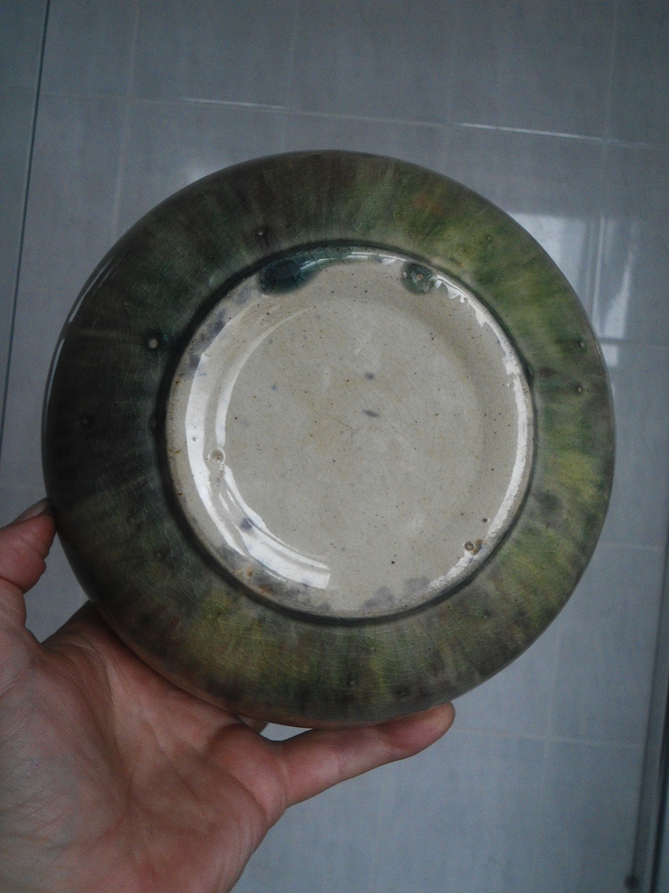 Aviary Photo_131819384945778237.jpg