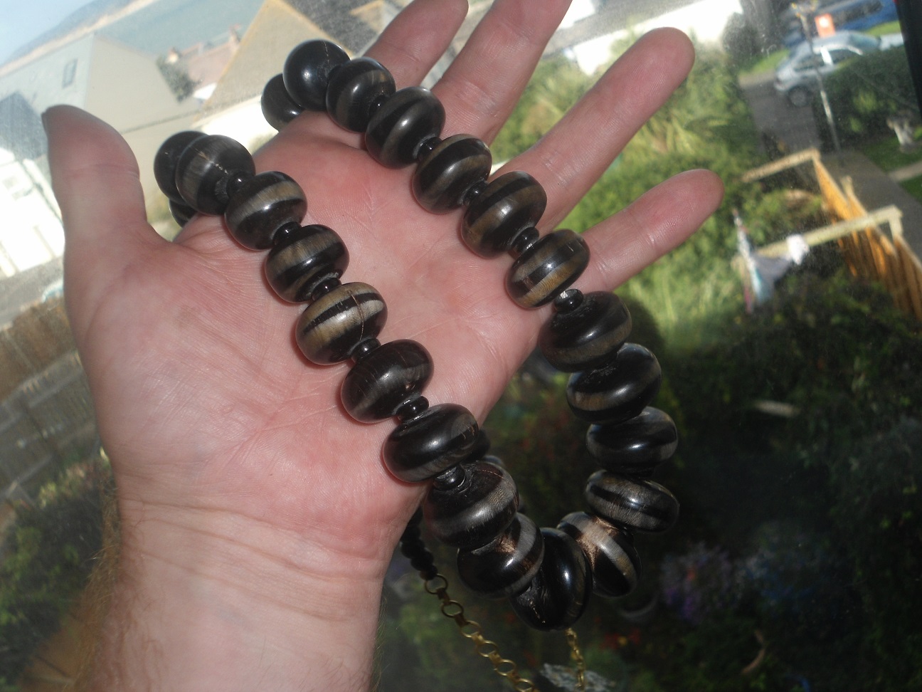 Aviary Photo_131820295260314452.jpg