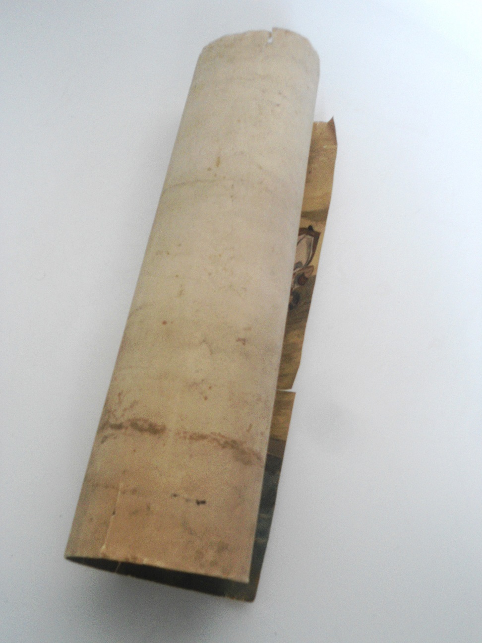 Aviary Photo_131822842656024286.jpg