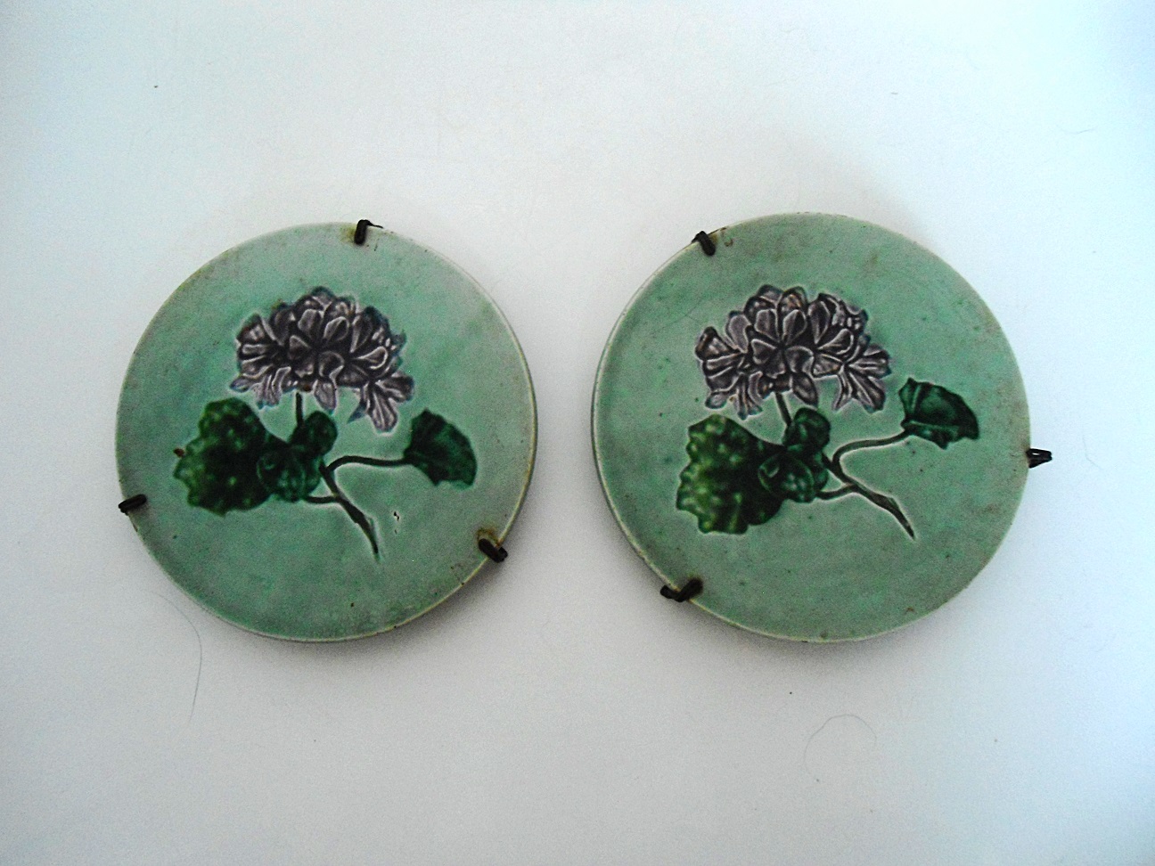 Aviary Photo_131874764405446529.jpg