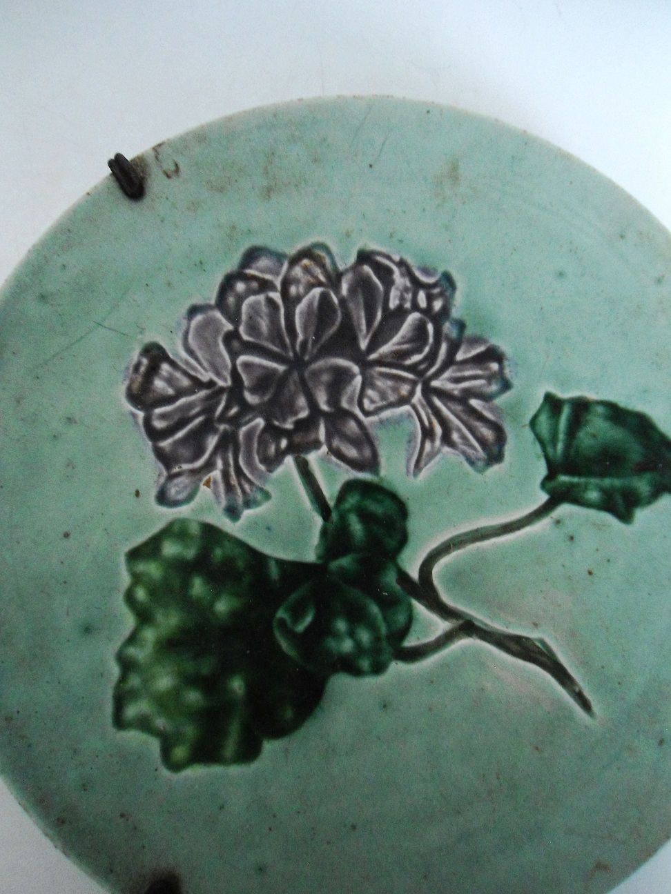 Aviary Photo_131874765655638096.jpg