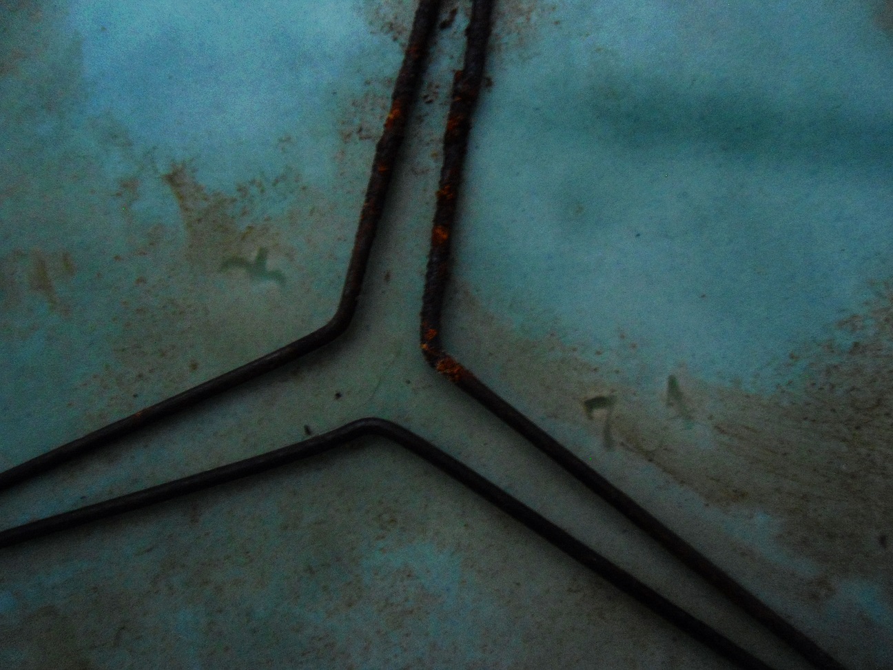 Aviary Photo_131874766269541033.jpg