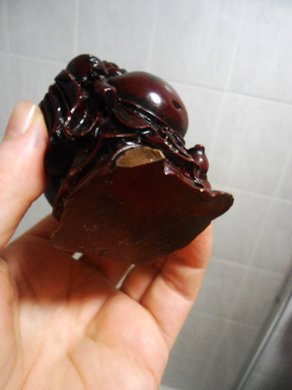 Aviary Photo_131879912302522294.jpg