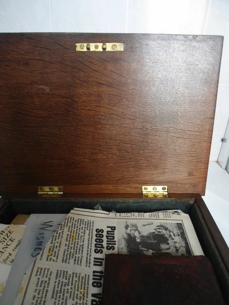 Aviary Photo_131976635477235186.jpg