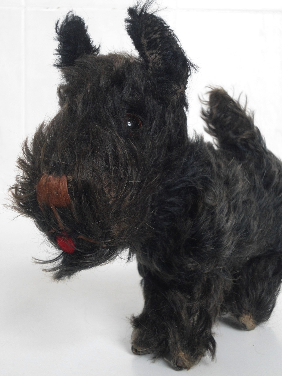 Aviary Photo_132037019101162069.jpg