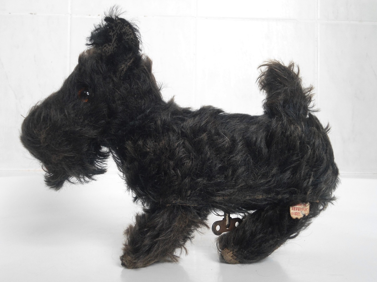 Aviary Photo_132037019640938753.jpg