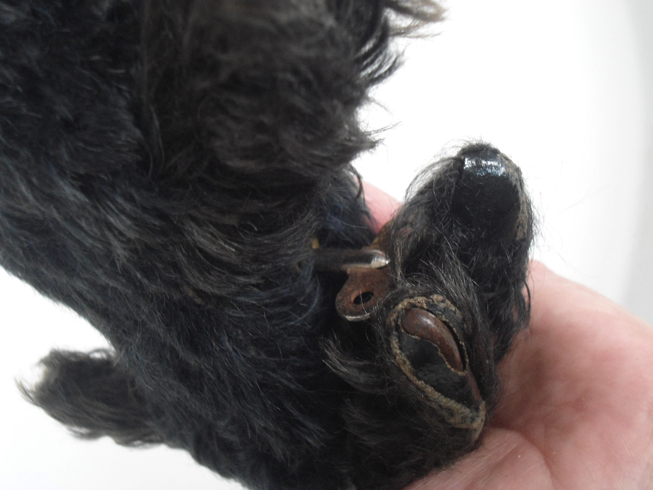 Aviary Photo_132037020925822301.jpg