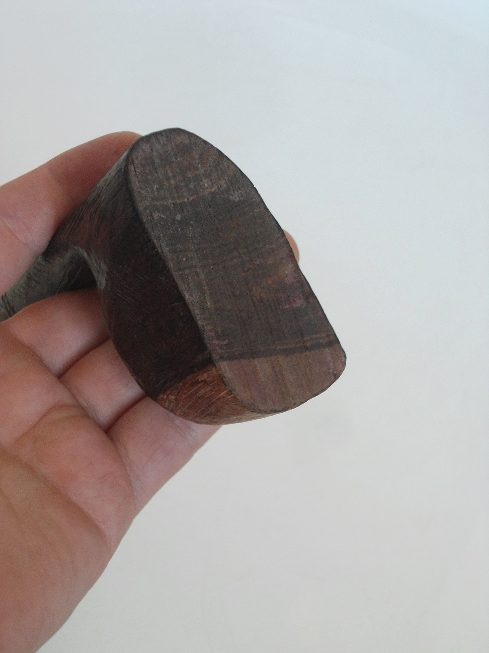 Aviary Photo_132037842804556412.jpg