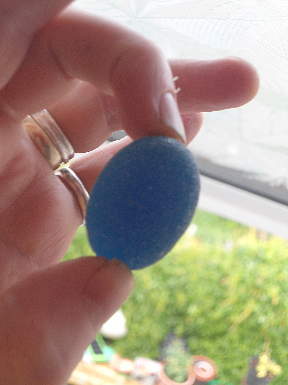 Aviary Photo_132039566948271397.jpg