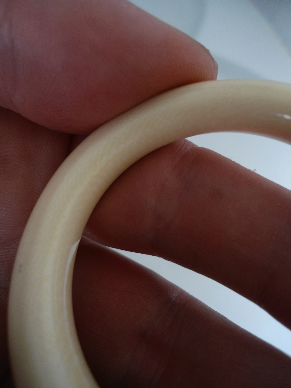 Aviary Photo_132056828814052351.jpg