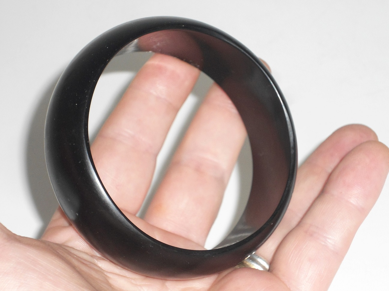 Aviary Photo_132062966081468839.jpg