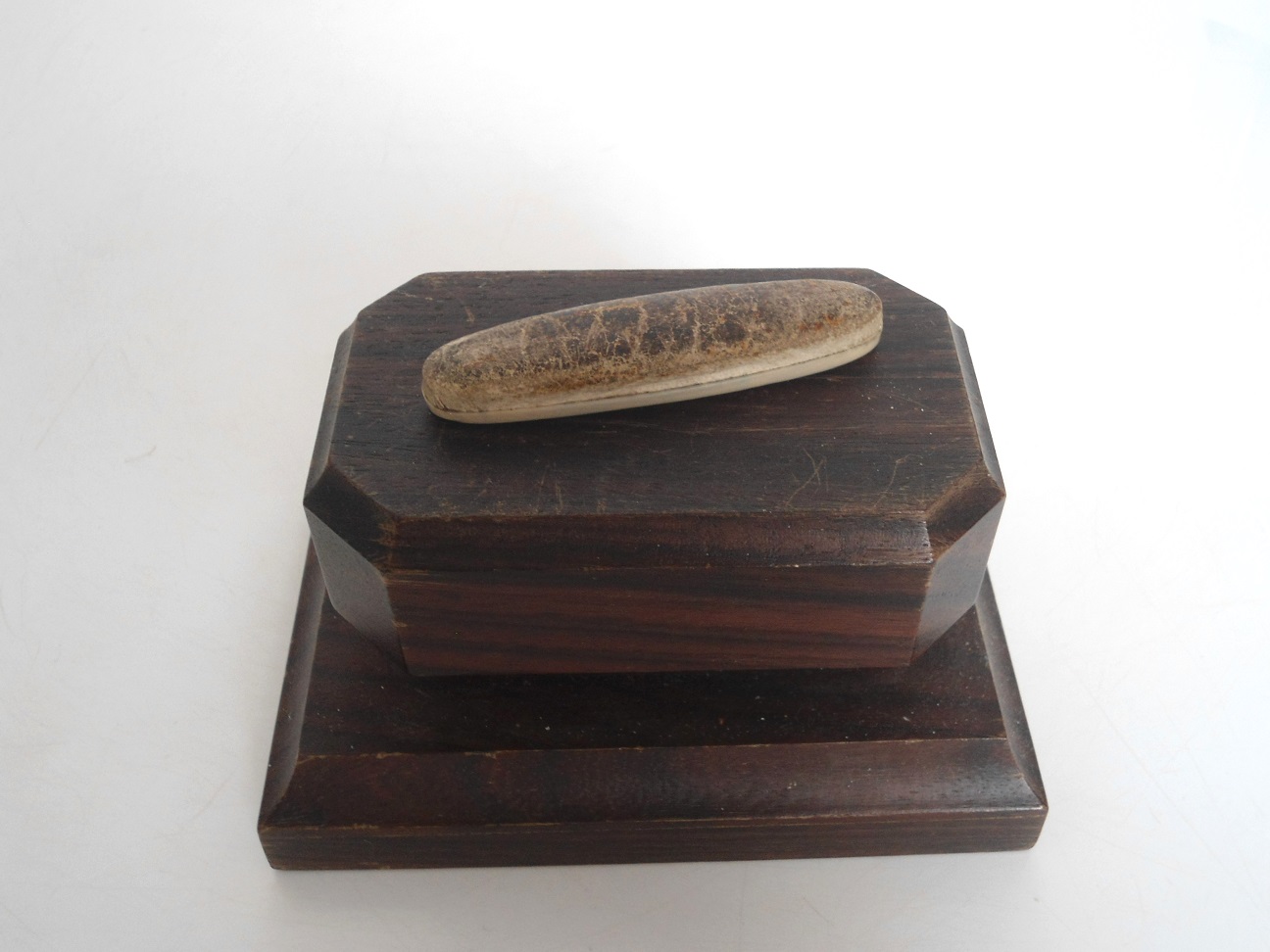 Aviary Photo_132062969814308296.jpg