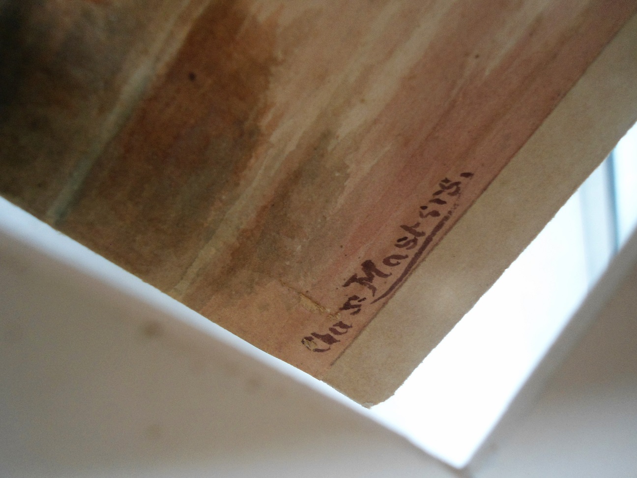 Aviary Photo_132063014639117851.jpg