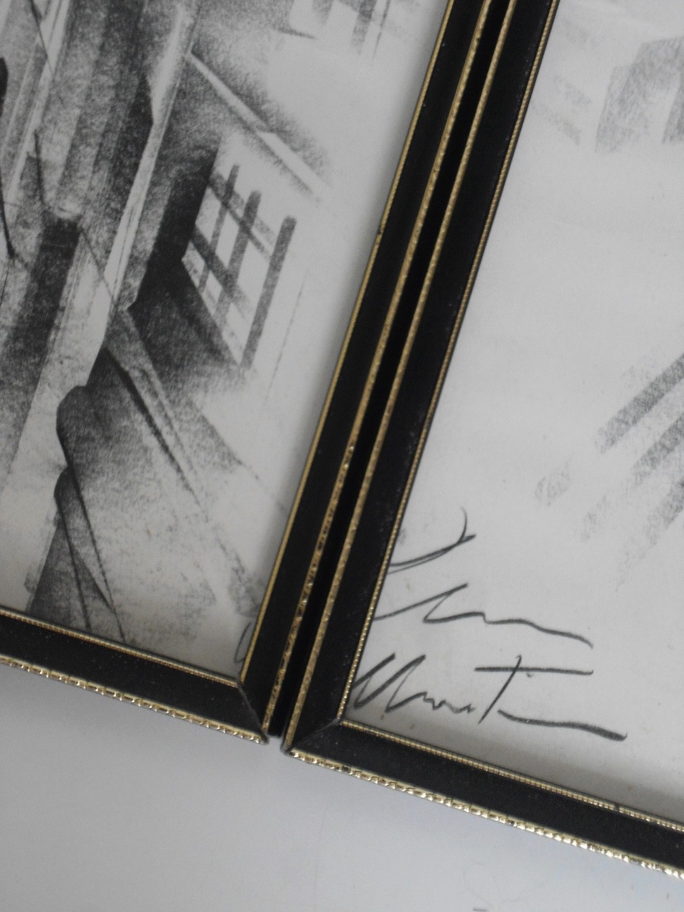 Aviary Photo_132073521559216504.jpg