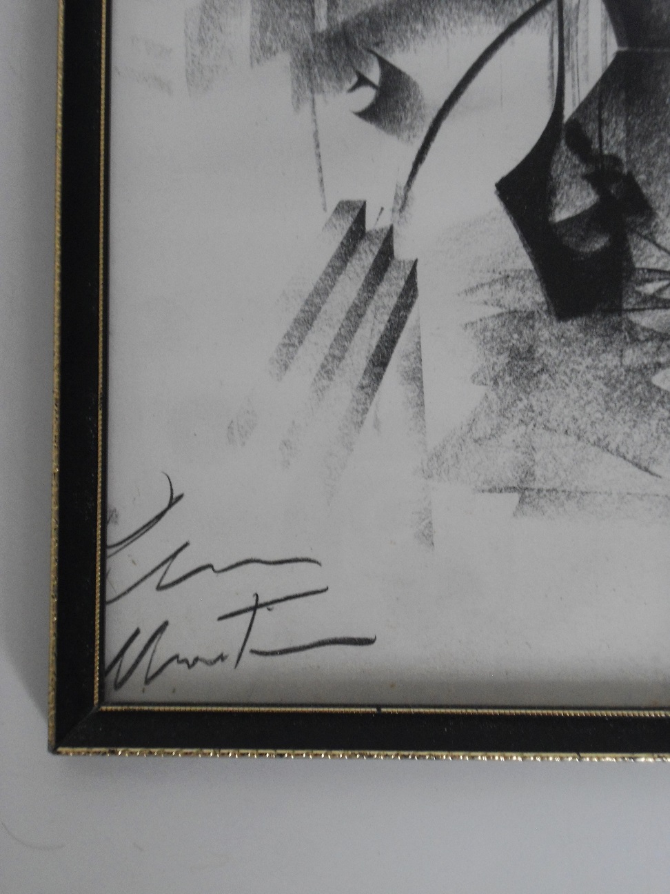 Aviary Photo_132073522362104371.jpg