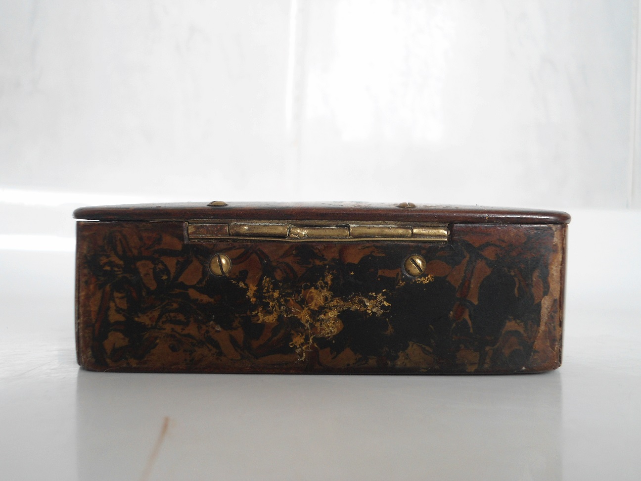 Aviary Photo_132075123689133610.jpg