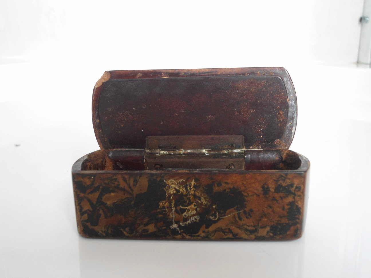 Aviary Photo_132075130837633464.jpg