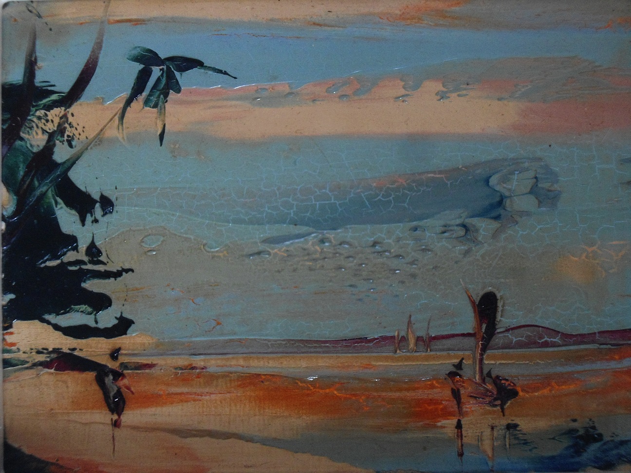 Aviary Photo_132116598394962054.jpg