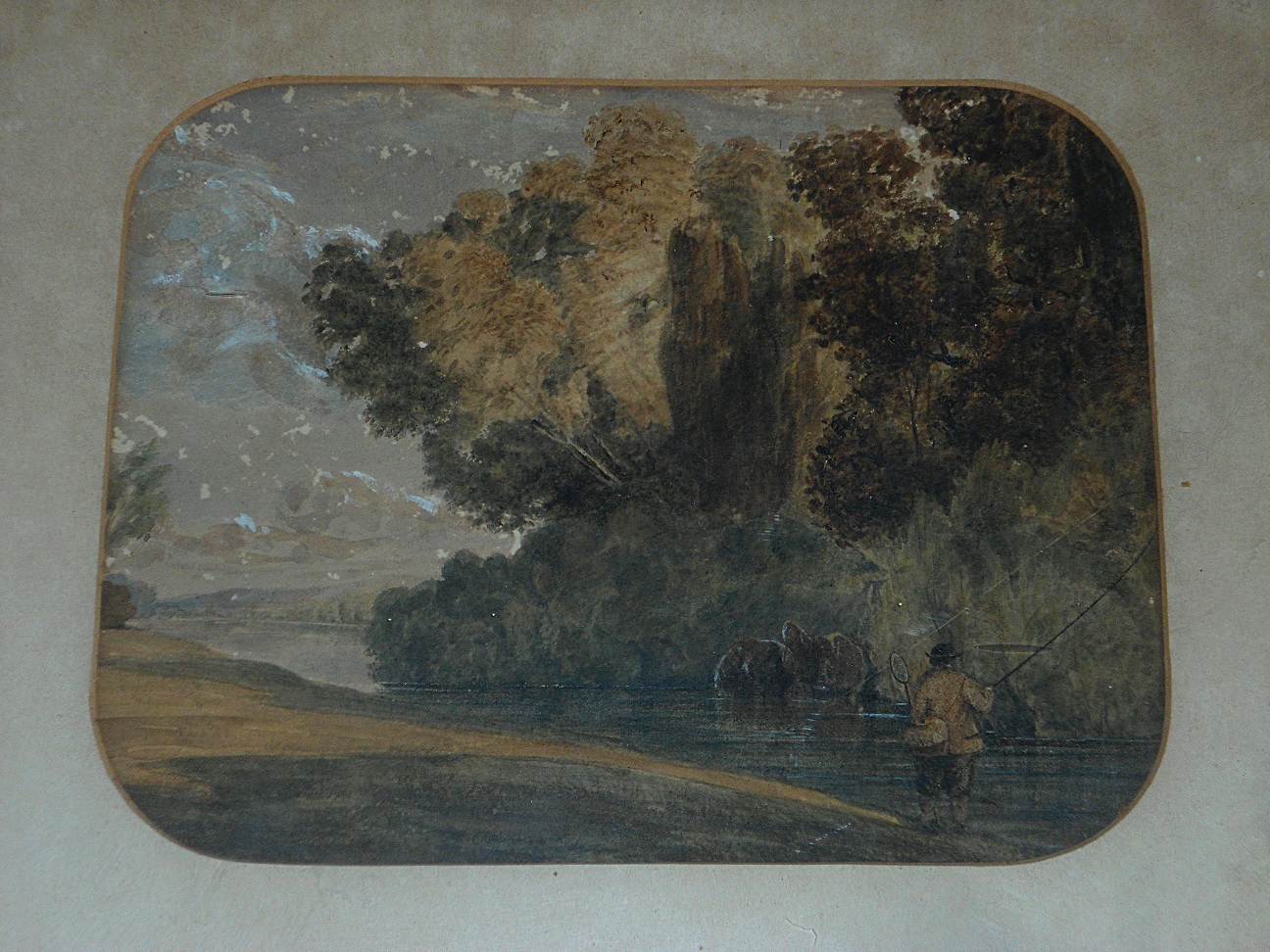 Aviary Photo_132185626927319200.jpg