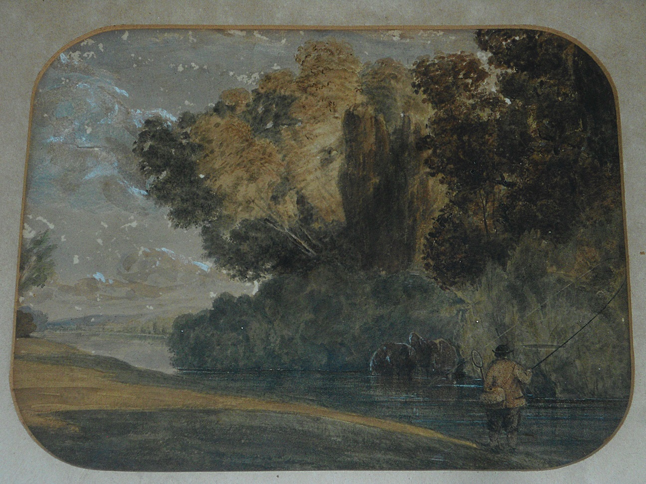 Aviary Photo_132185628542675786.jpg