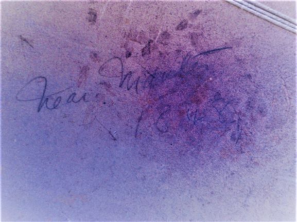 Aviary Photo_132185642497589925 (2) (1).jpg