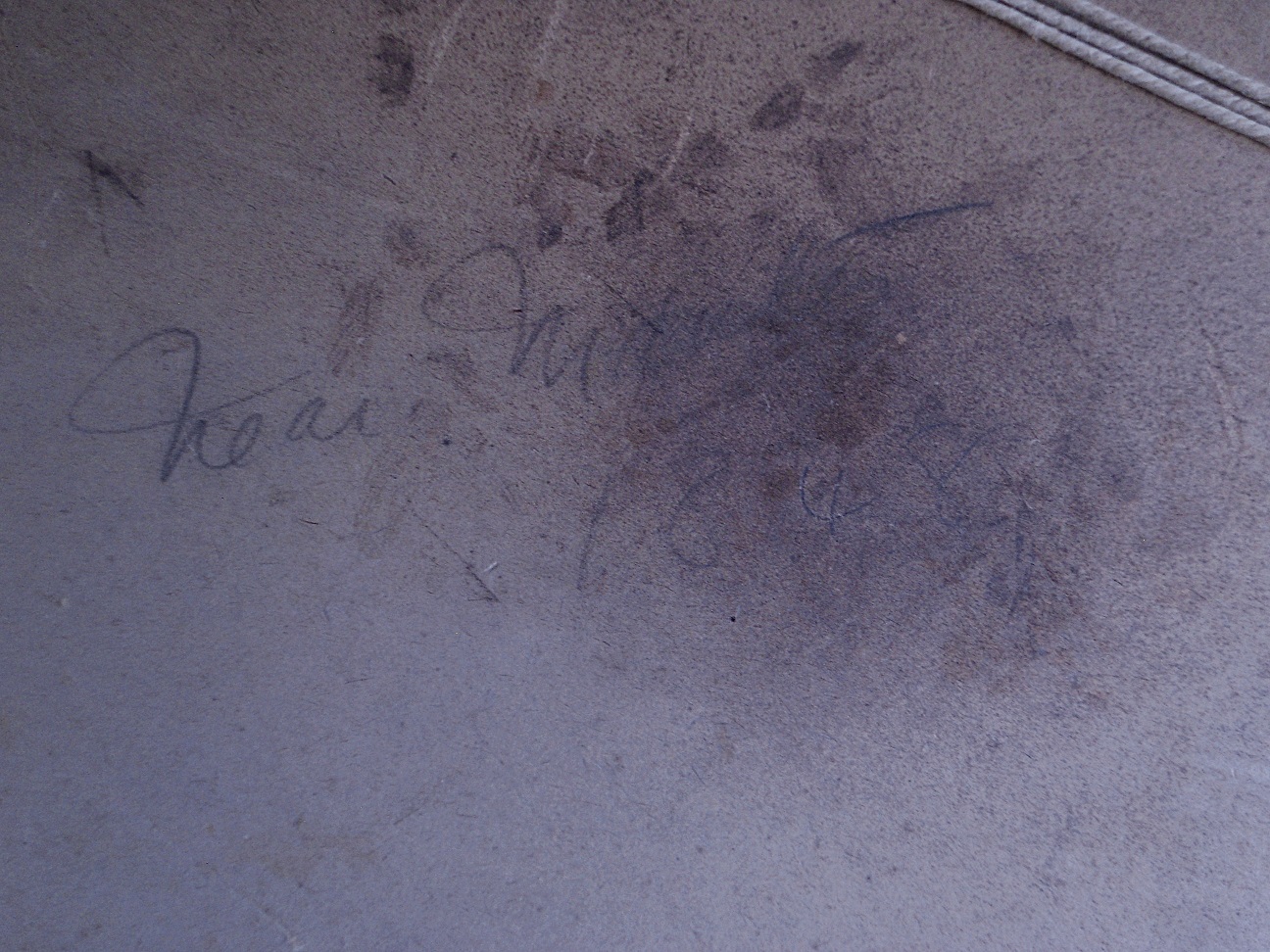 Aviary Photo_132185642497589925.jpg