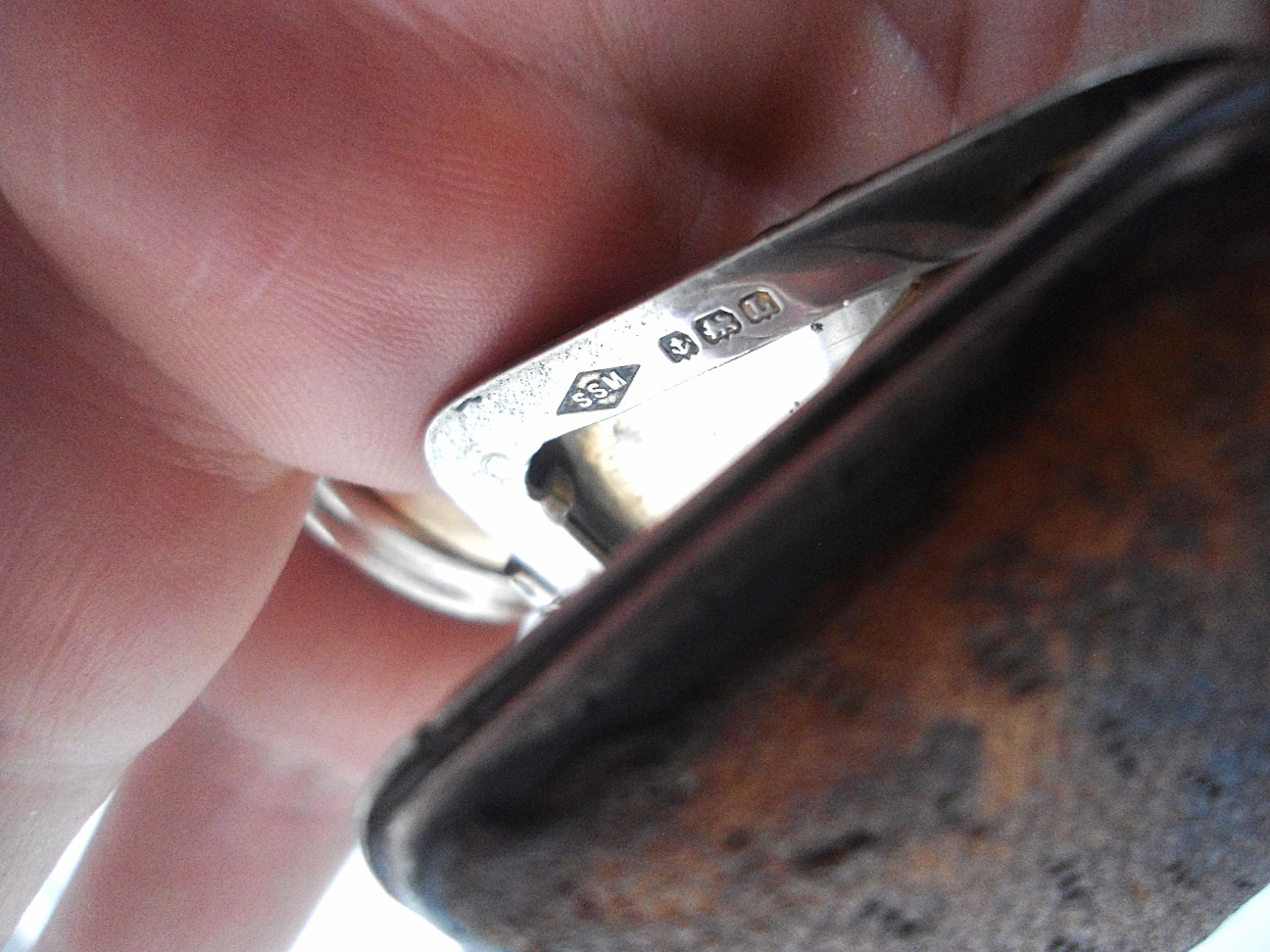 Aviary Photo_132368909422710905.jpg