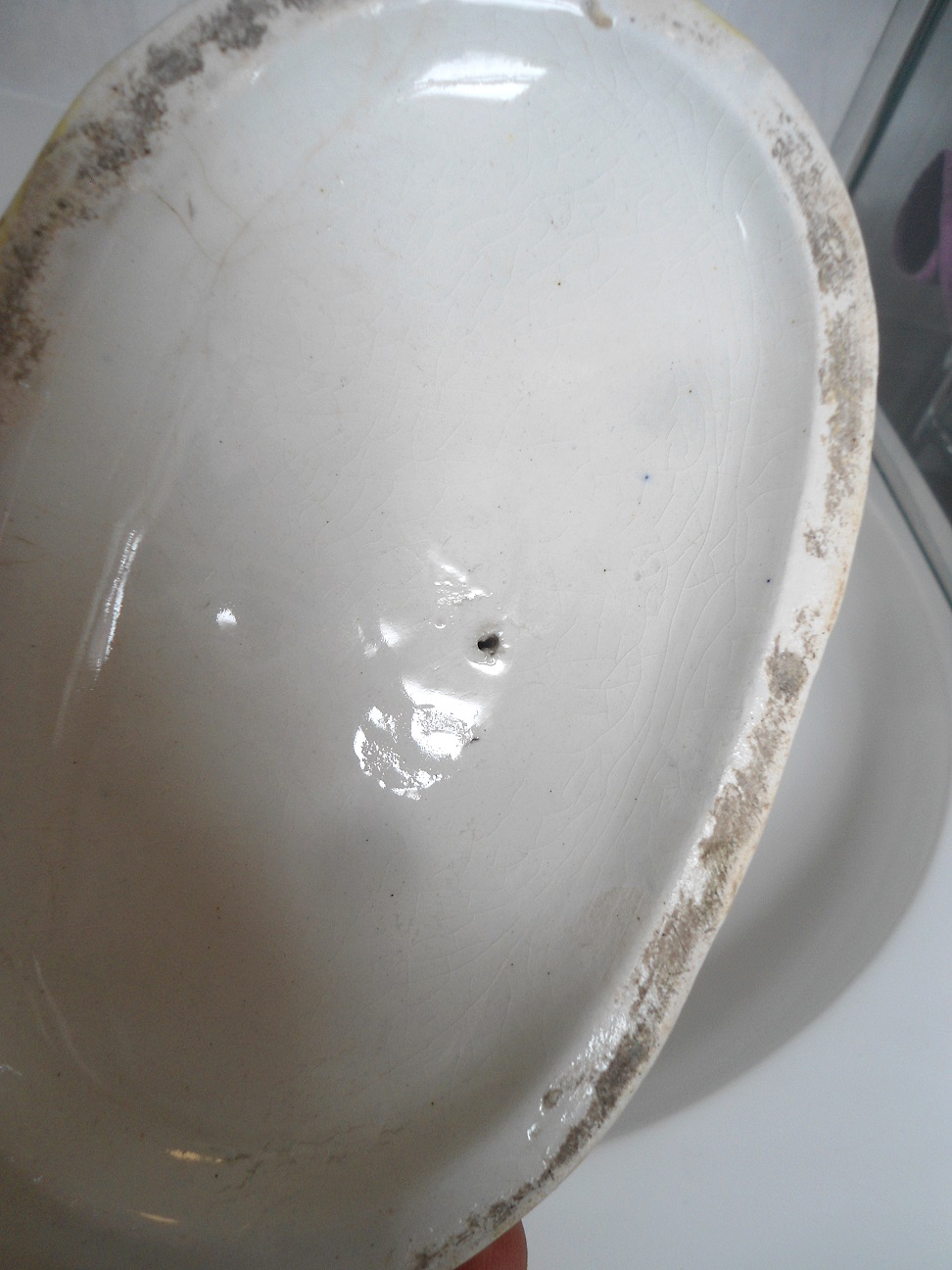 Aviary Photo_132440481954541349.jpg