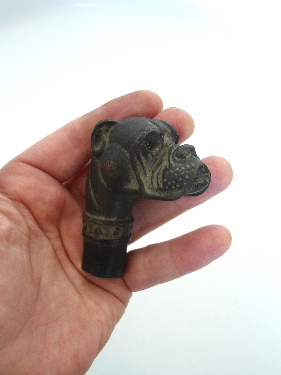 Aviary Photo_132449197398173744.jpg