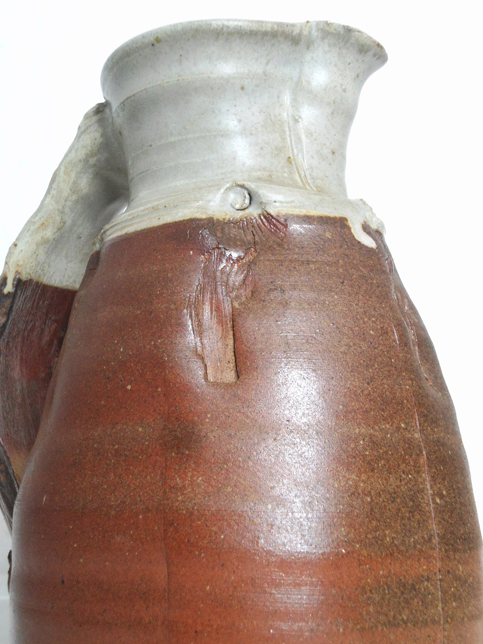 Aviary Photo_132450783866204379.jpg