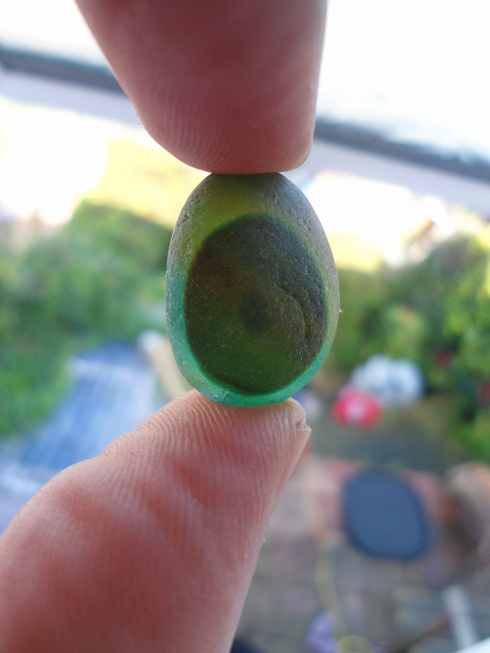 Aviary Photo_132451631349360942.jpg